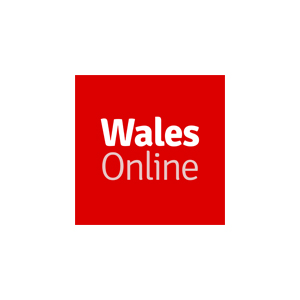 Wales Online articles - Lipreader