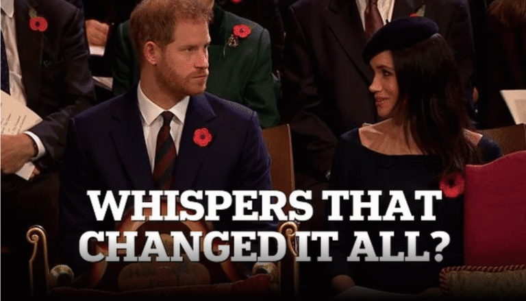 Meghan Markle warns Prince Harry to ‘take advantage’ as they’re seen with Prince