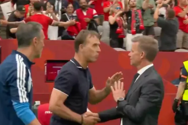 Lip reader works out argument that left World Cup coach in disgust after sickening injury