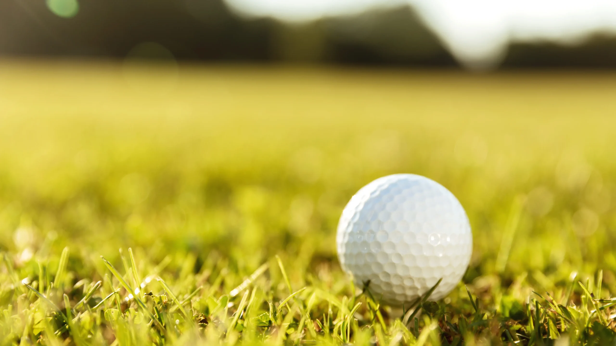 Golf src=